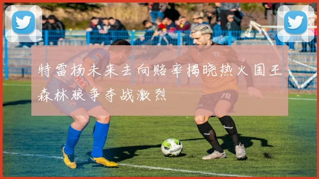 特雷杨未来去向赔率揭晓热火国王森林狼争夺战激烈