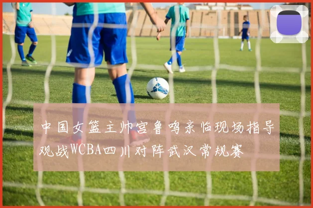 中国女篮主帅宫鲁鸣亲临现场指导观战WCBA四川对阵武汉常规赛