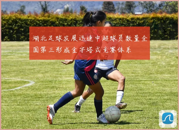 湖北足球发展迅速中超球员数量全国第三形成金字塔式竞赛体系