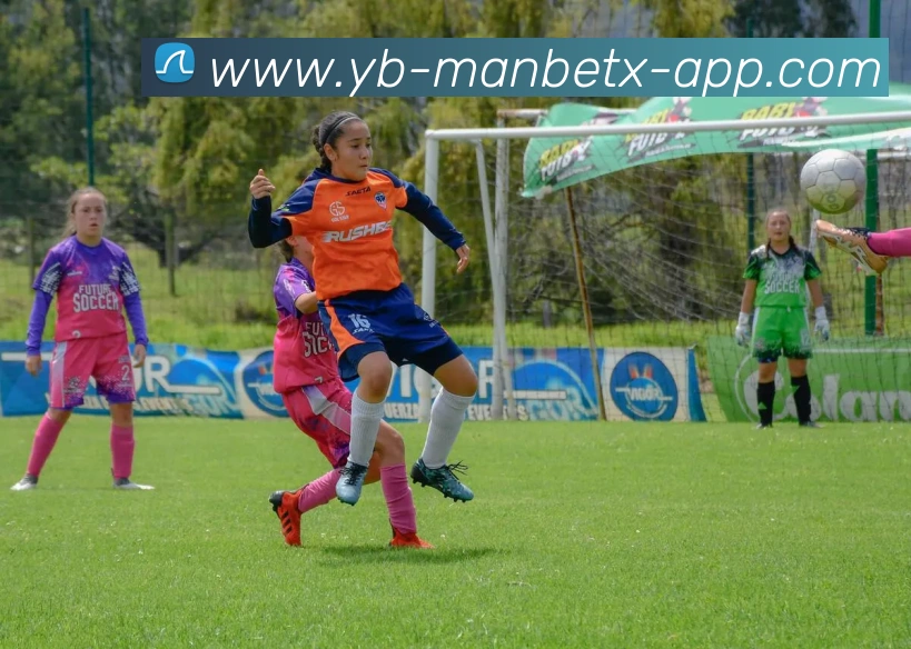 多媒体互动体验