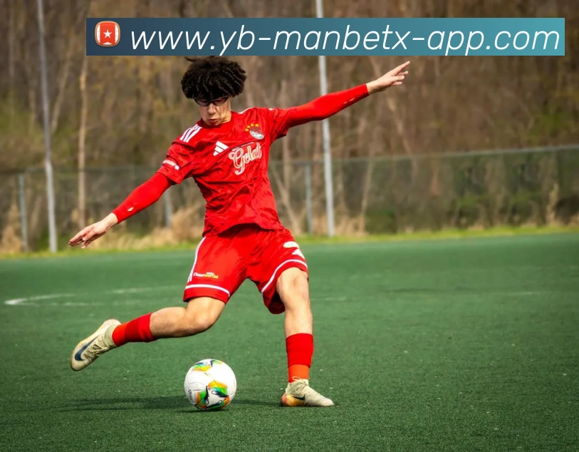 万博体育APP 高清赛事图